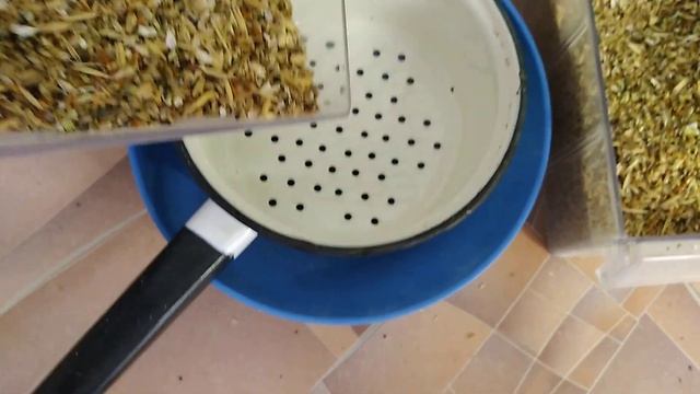 Отходы после кормления птиц. #birds #birdslover #birdsounds