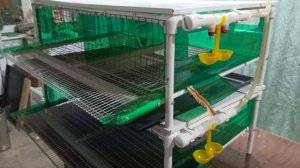 Рестайлинг пластиковой клетки для перепелов.