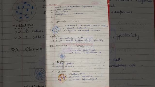 The inflammatory cells, Functions of inflammatory cells,polymorph,monocytes, lymphocytes,eosinophil смотреть онлайн