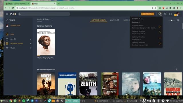 Install and Setup Plex Media Server with Android, iPad and Roku TV смотреть онлайн