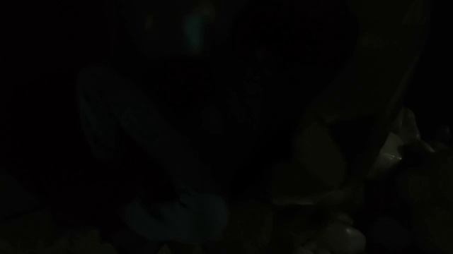 Мини влог с Рыбками)) смотреть онлайн