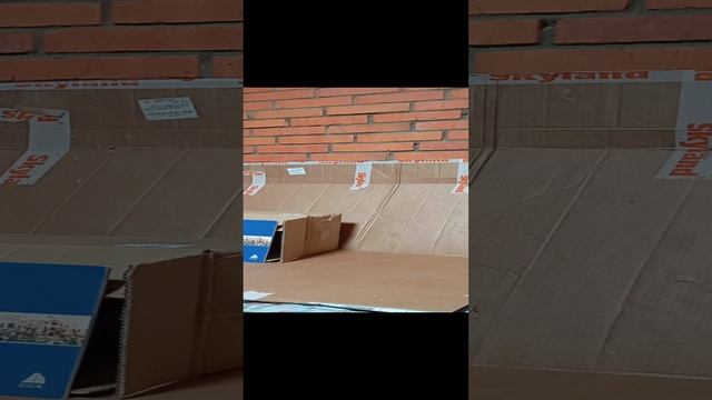 пионер гром