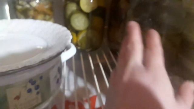 Продолжение по покупкам / Заморозка и хранение ч 2 / Консервация или что мы едим смотреть онлайн