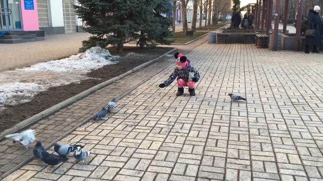 Соня кормит голубей, бульвар Пушкина смотреть онлайн
