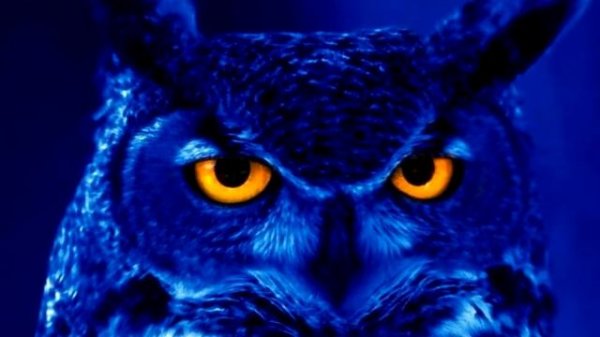 Переходы  с альфа каналом Digital Juice - Swipes! v07 Clean Sweep