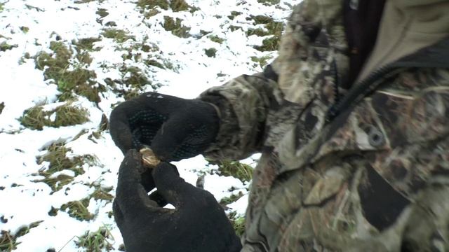 Поиск монет. День третий. Отмороженные копари. Теперь свезло!