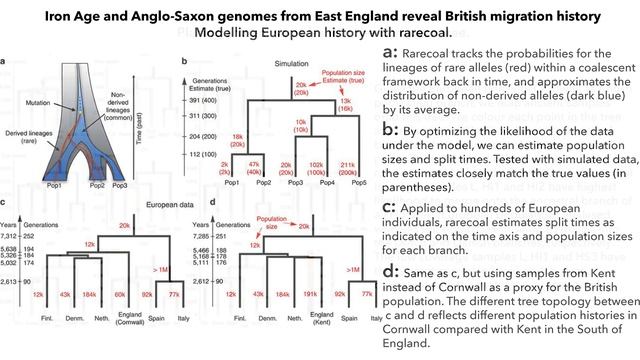 Anglo Saxon DNA смотреть онлайн