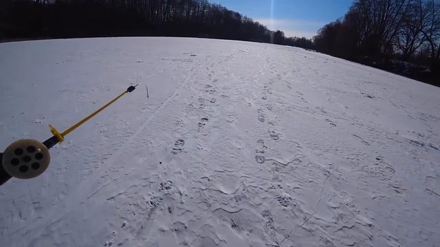 ДЕНЬ РОЖДЕНИЕ НА ПРИРОДЕ! смотреть онлайн