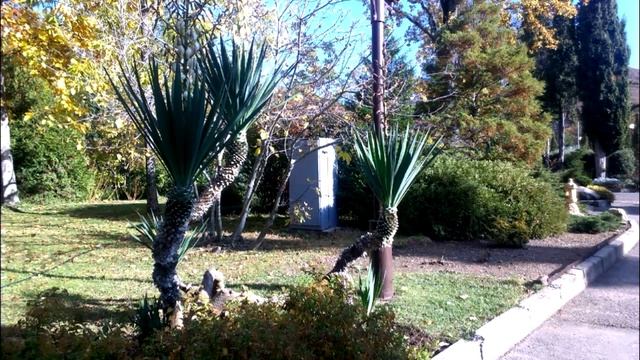 Фото природы смотреть онлайн