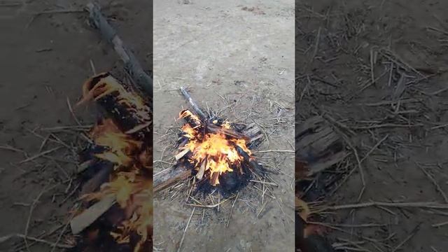 Предками данная мудрость народная смотреть онлайн