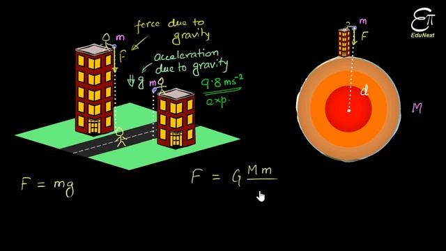Free Fall || Calculate the Value of 'g' || for Class 9 in Hindi смотреть онлайн