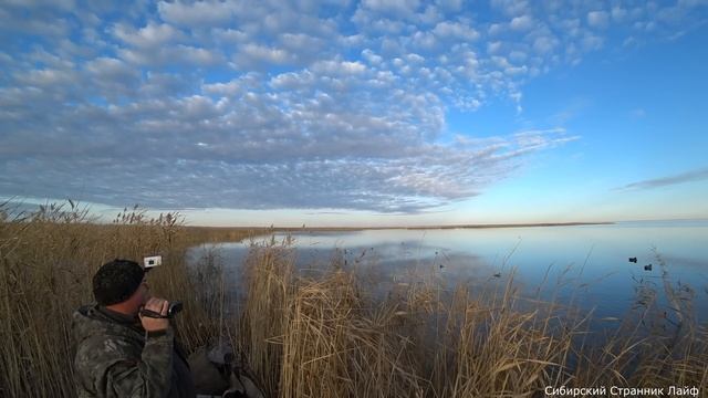 Сибирский странник (ломает лед лодкой, в поисках утки)