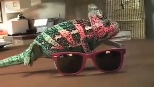 Super Chameleon chang the color смотреть онлайн