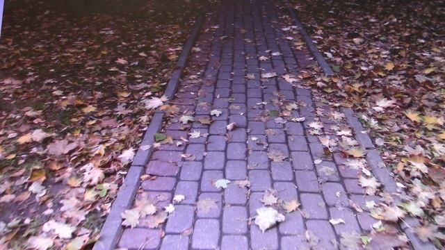 о сквере на Молодежной улице смотреть онлайн