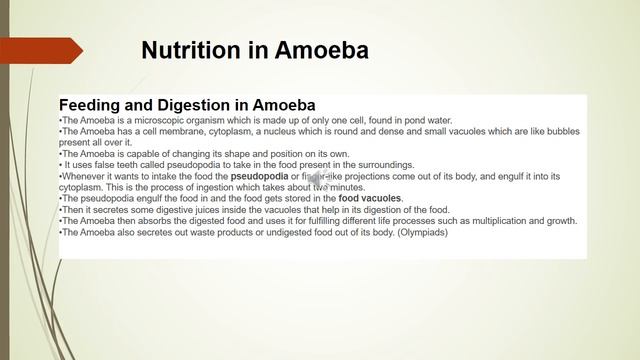 NUTRITION IN AMOEBA Lecture#3 Class-7 смотреть онлайн