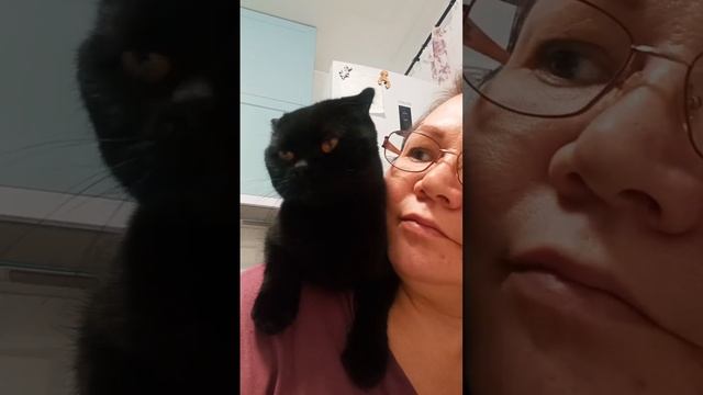 Кошка Милка и поцелуйчики смотреть онлайн