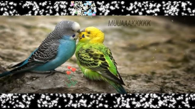 Walter Murphy Flight 76 смотреть онлайн