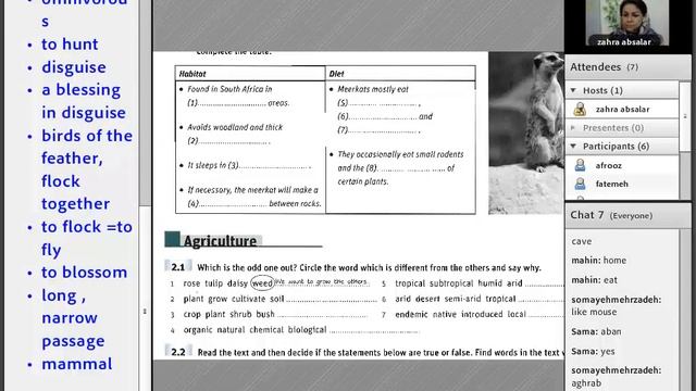 Vocabulary For IELTS ( unit 9) смотреть онлайн