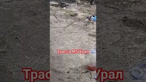 Трасса М5 Урал Тонет в кучах мусора и мочи водители дальнобойщики #shortvideo #2024 #весна