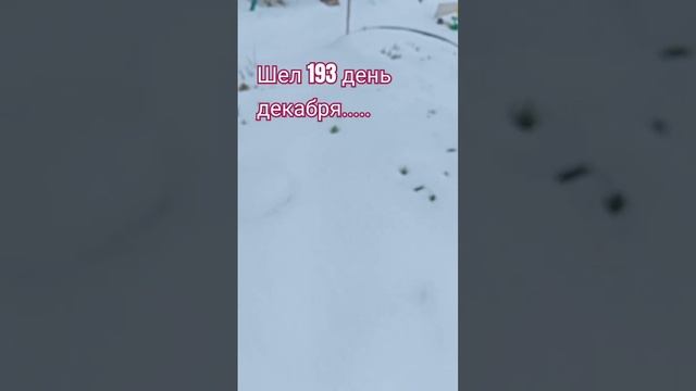 Пока новогодние праздники не догуляем, тепла не дадут! смотреть онлайн