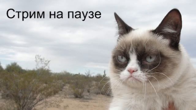 Metal Mutant (1991).Боль продолжается