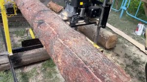 Шинная бензиновая пилорама PilaTex 11 л.с.