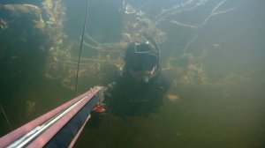 Подводная охота Прозрак Супер Удачные выстрелы за несколько охот