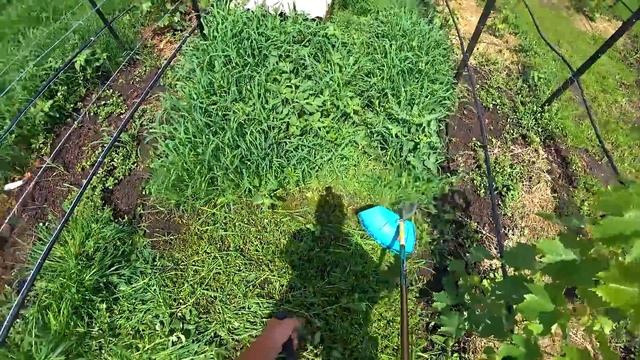 ОДИН ДЕНЬ В ДЕРЕВНЕ! смотреть онлайн