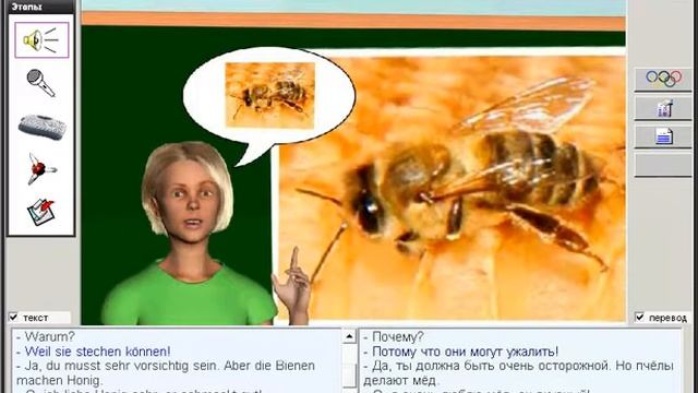 Алфавит. Буква B. Урок 152. Немецкий язык 1-4 классы смотреть онлайн
