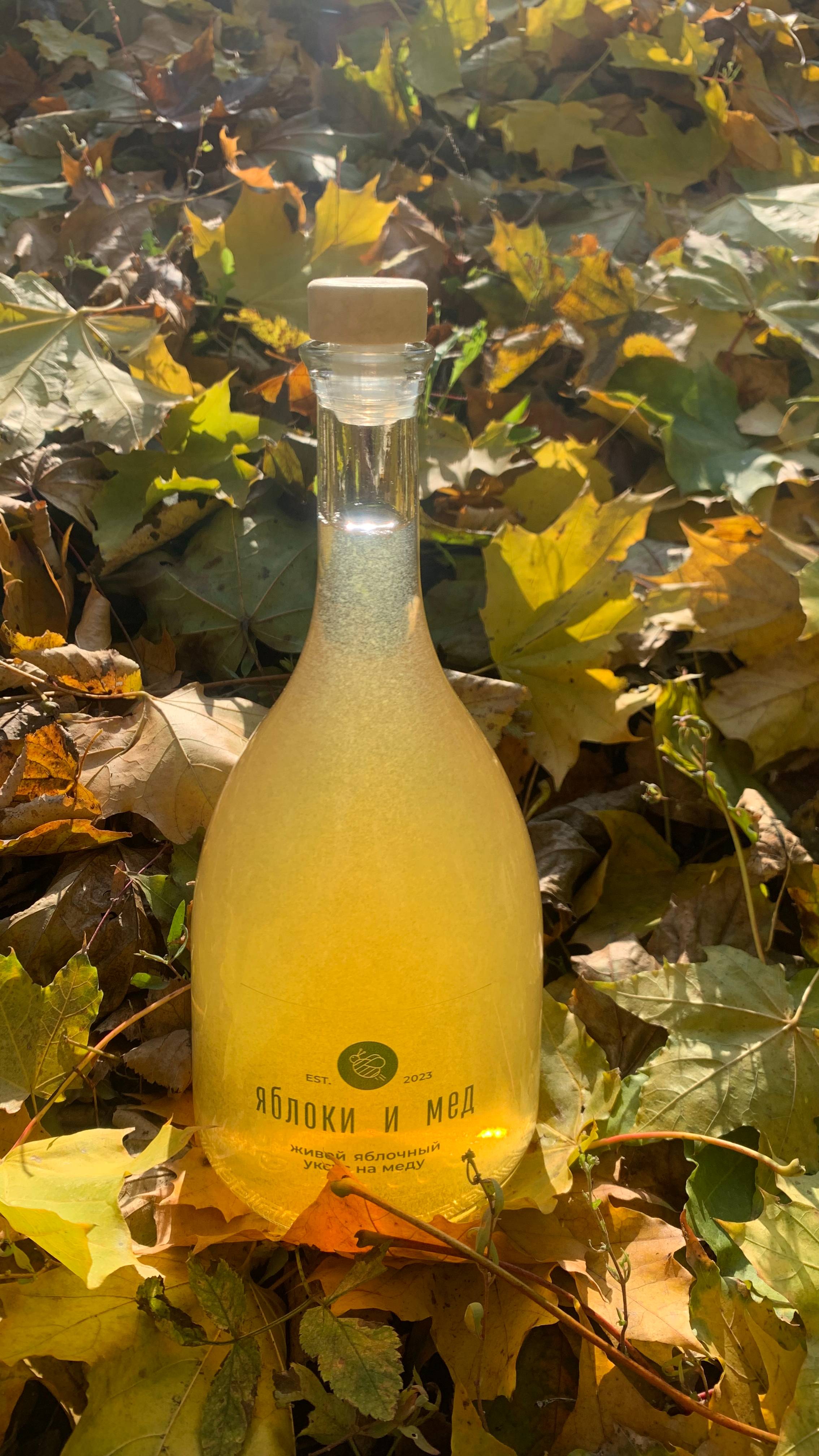 Яблоки и мед Яблочный уксус на меду Как принимать  Yabloki_i_med