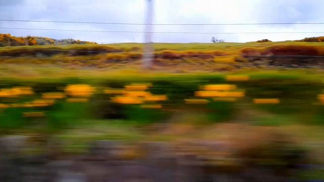 Original Hollywood/История Голливуда