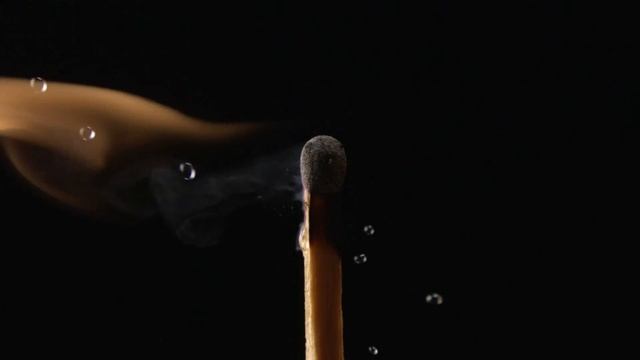 "Слушай и учись". 12 ноября. День за днем в Ал-анон. Ежедневник для созависимых смотреть онлайн