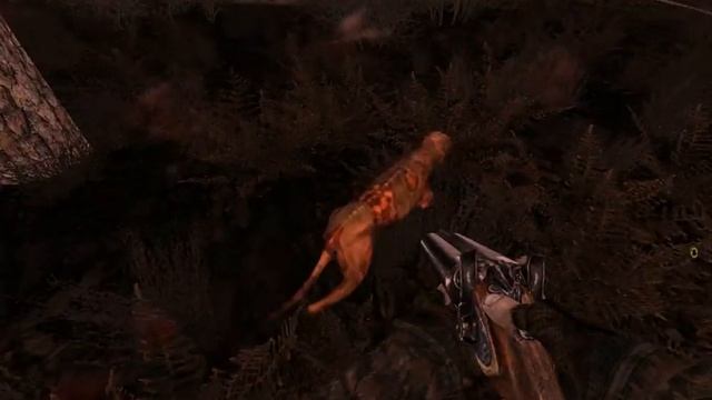 Stalker-Misery 2.1RUS (1-Серия) смотреть онлайн