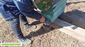 Как начать разводить пчел и сделать пасеку.