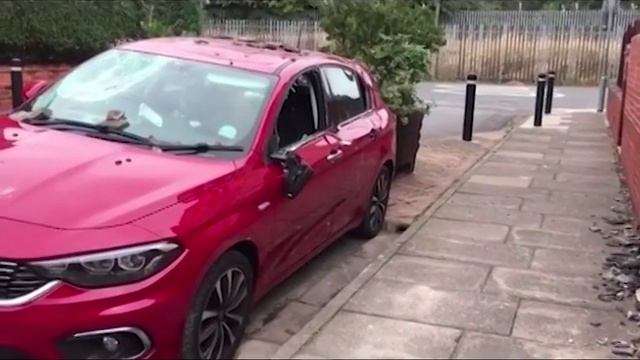 Teenager locked up over 14-hour roof standoff after dad tells judge to 'stop sugar coating his son' смотреть онлайн