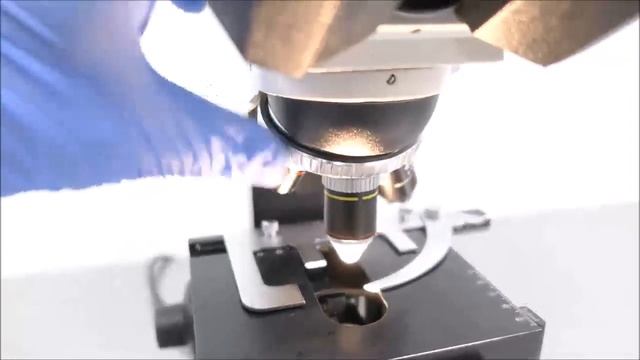 Fisher Micromaster Microscope ID 17880 смотреть онлайн