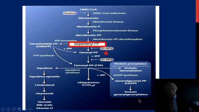 VerEvMed's Dr Guerra explains how gamma delta T lymphocytes are controlled by isoprenoids смотреть онлайн