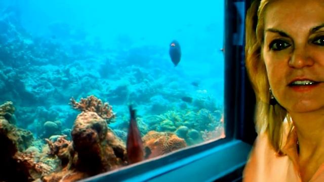 Израиль осень 2012. Эйлат-Иерусалим-Вифлиеем-Мертвое море смотреть онлайн