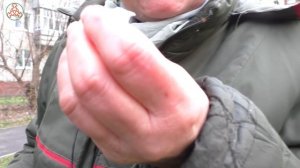 Вкусный и целебный гриб! ВЁШЕНКА УСТРИЧНАЯ -  Pleurotus ostreatus.