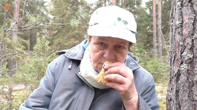 Красивый и съедобный гриб! РАМАРИЯ ЖЁЛТАЯ - Ramaria flava. смотреть онлайн