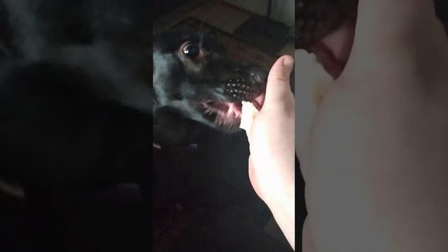 Стасян и все-все