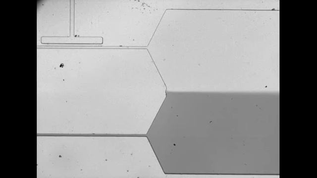 ARAbate, Single-layer Membrane Valve With A Differential Manometer