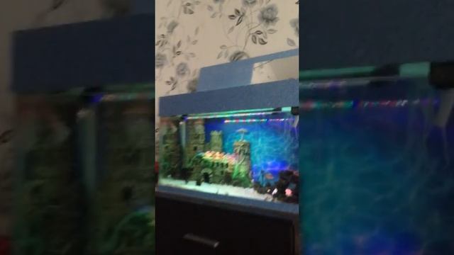 Мой аквариум на 120 л смотреть онлайн