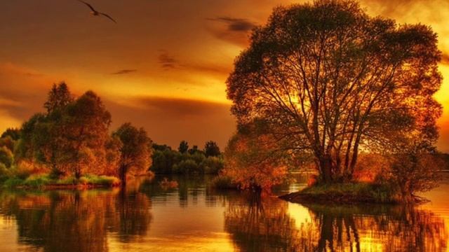 Schumann Resonance Earth's Vibration "Advanced Meditation" 7.83hz Theta Binaural Beat смотреть онлайн