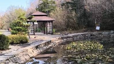 Осенняя прогулка по Ботаническому саду в городе Владивостоке. #Осенняя_сказка #Ботанический_сад_Влад смотреть онлайн