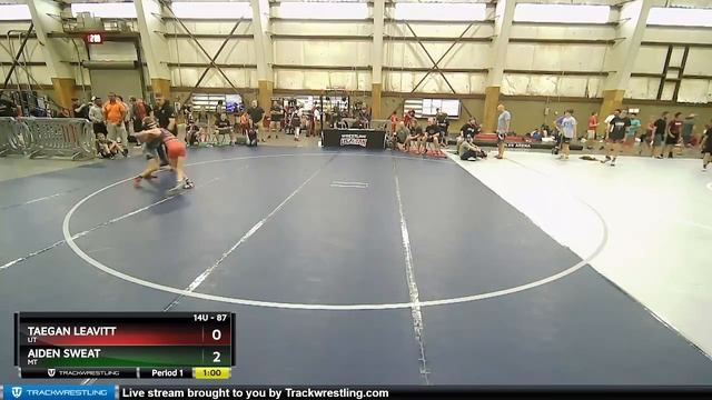 87 Lbs Quarterfinal - Taegan Leavitt, UT Vs Aiden Sweat, MT 94bf смотреть онлайн