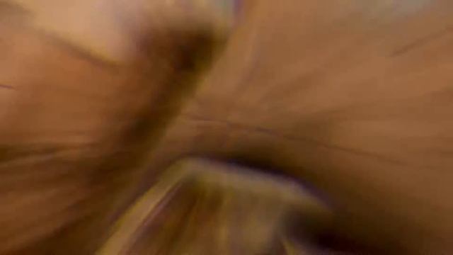 Может ты вернёшься может это сон 😞 смотреть онлайн