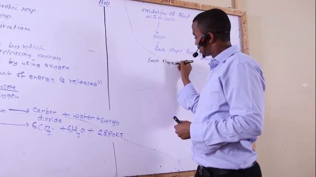 Aerobic Respiration: Teacher: A/shakur Ibrahim Abdi смотреть онлайн