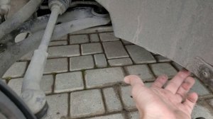 Четыре года не заглядывал за передние подкрылки Шкода Кодиак. Сколько там листьев?