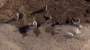 Дом. История путешествия (Full HD)